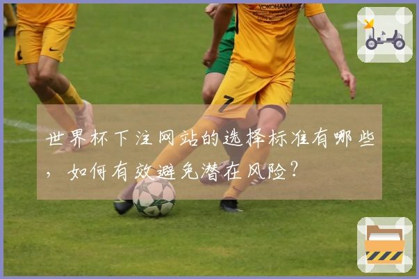 世界杯下注网站的选择标准有哪些，如何有效避免潜在风险？