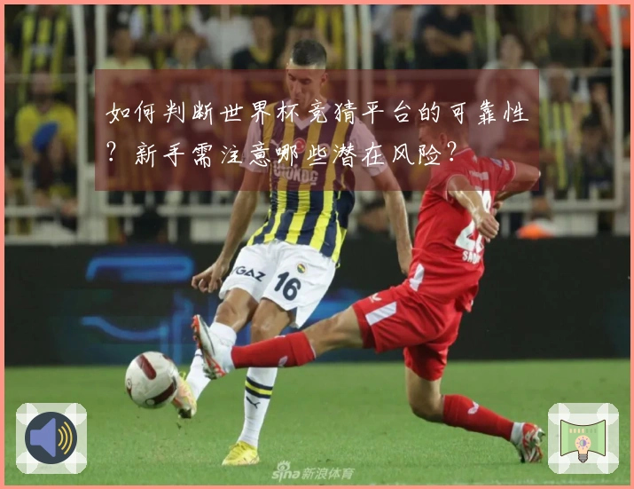 如何判断世界杯竞猜平台的可靠性？新手需注意哪些潜在风险？