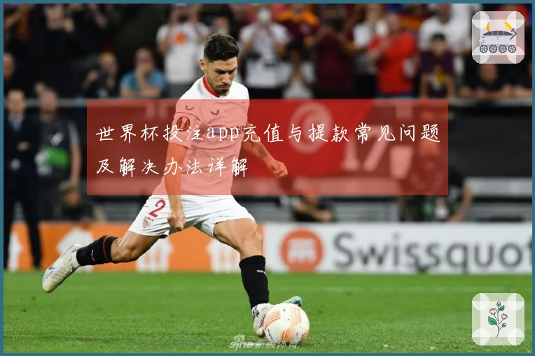 世界杯投注app充值与提款常见问题及解决办法详解