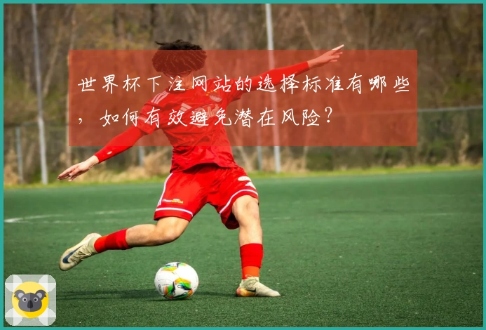 世界杯下注网站的选择标准有哪些，如何有效避免潜在风险？