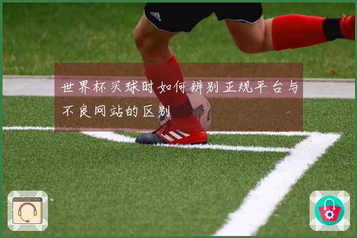 世界杯买球时如何辨别正规平台与不良网站的区别