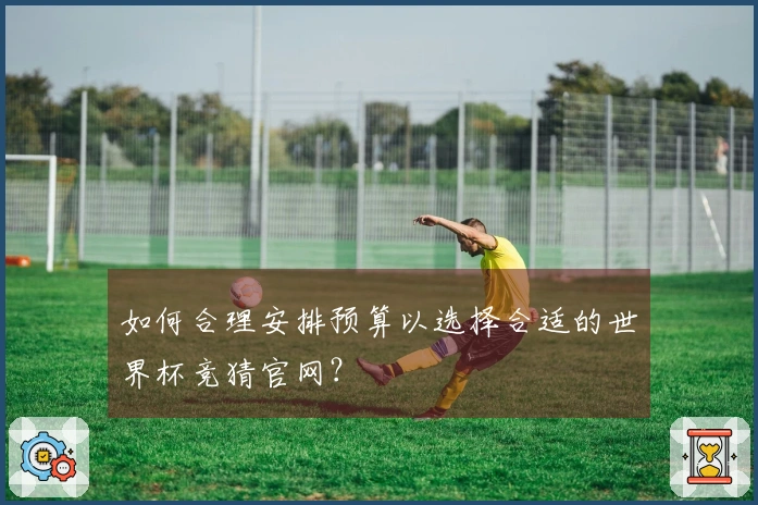 如何合理安排预算以选择合适的世界杯竞猜官网？