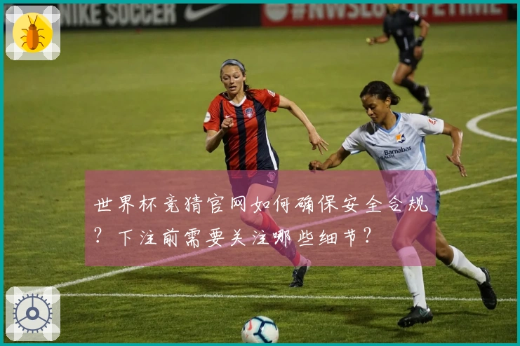 世界杯竞猜官网如何确保安全合规？下注前需要关注哪些细节？