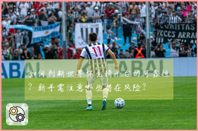 如何判断世界杯竞猜平台的可靠性？新手需注意哪些潜在风险？