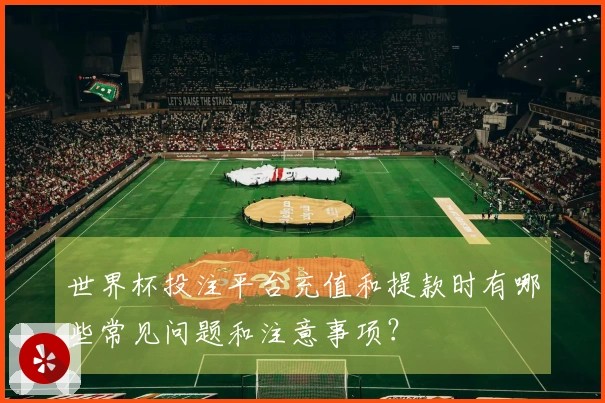 世界杯投注平台充值和提款时有哪些常见问题和注意事项？