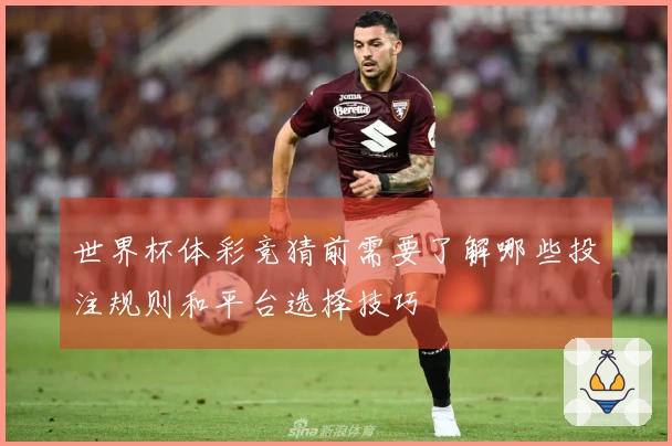 世界杯体彩竞猜前需要了解哪些投注规则和平台选择技巧