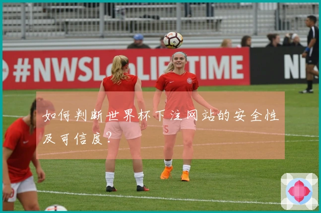 如何判断世界杯下注网站的安全性及可信度？