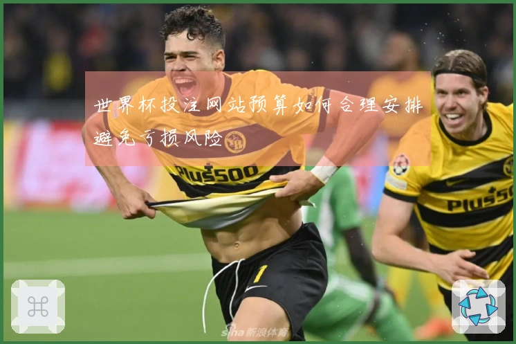 世界杯投注网站预算如何合理安排避免亏损风险