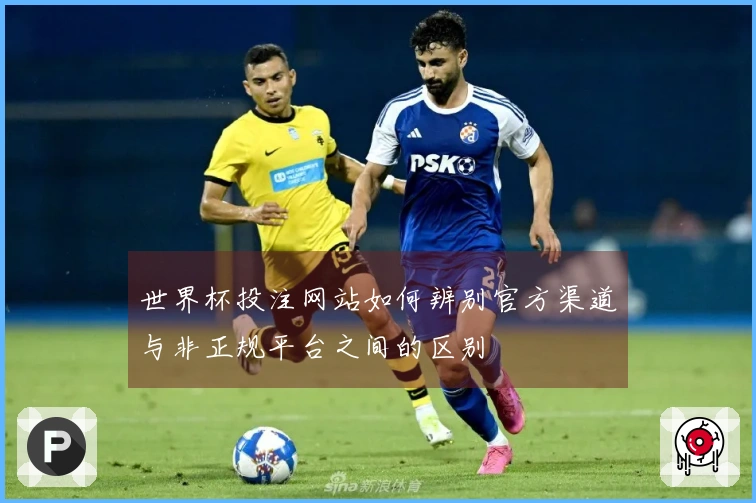 世界杯投注网站如何辨别官方渠道与非正规平台之间的区别