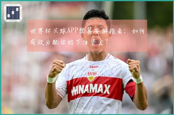 世界杯买球APP预算安排指南：如何有效分配你的下注资金？