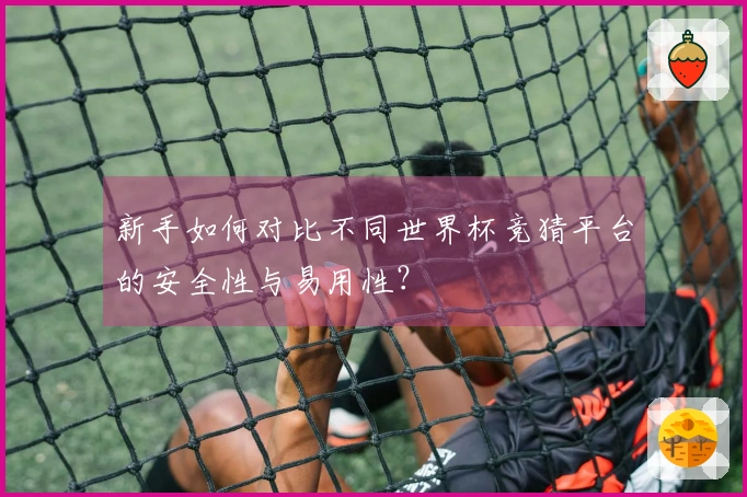 新手如何对比不同世界杯竞猜平台的安全性与易用性？