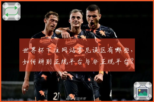世界杯下注网站常见误区有哪些，如何辨别正规平台与非正规平台？