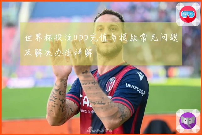 世界杯投注app充值与提款常见问题及解决办法详解