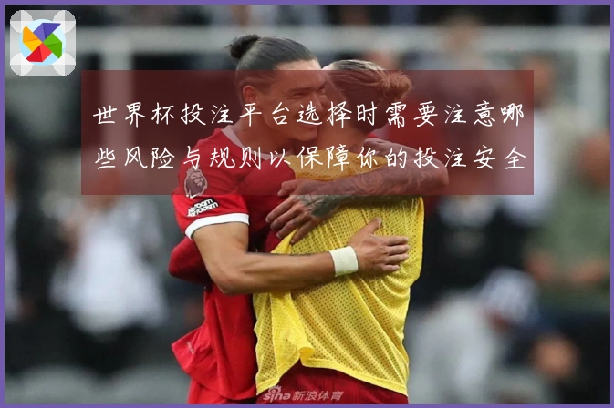 世界杯投注平台选择时需要注意哪些风险与规则以保障你的投注安全