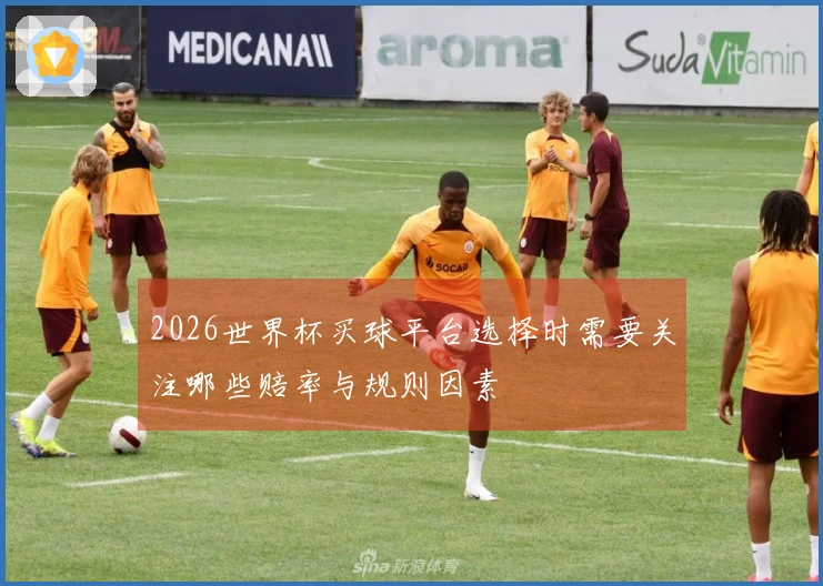 2026世界杯买球平台选择时需要关注哪些赔率与规则因素