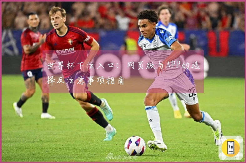 世界杯下注入口：网页版与APP的选择及注意事项指南