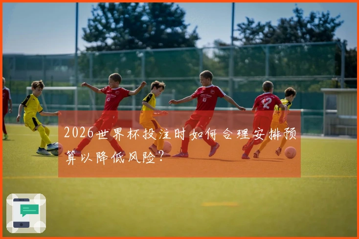 2026世界杯投注时如何合理安排预算以降低风险？
