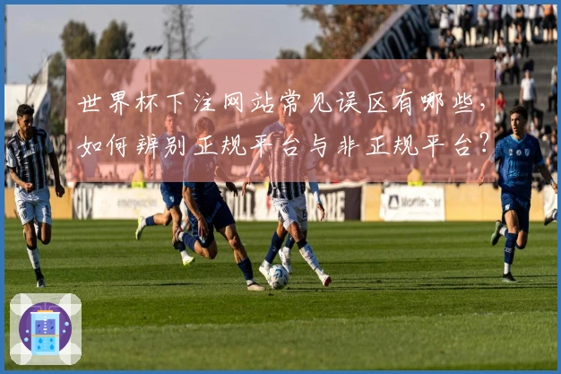 世界杯下注网站常见误区有哪些，如何辨别正规平台与非正规平台？