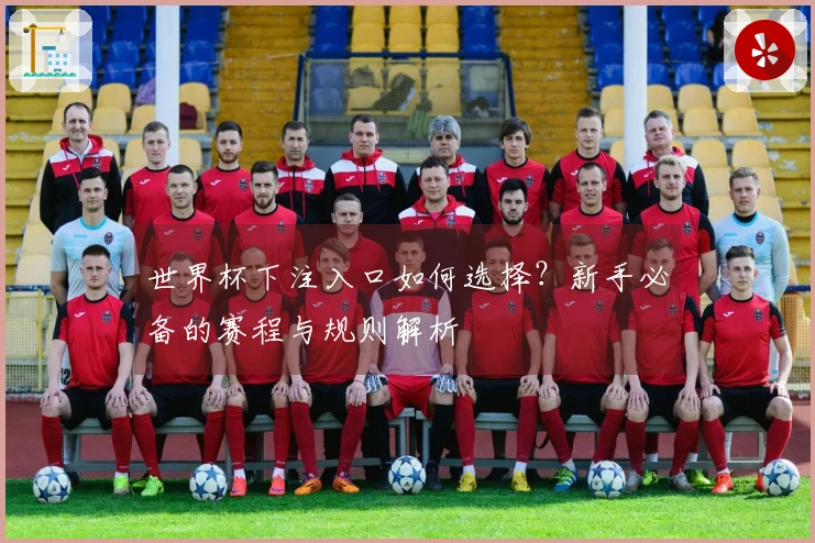 世界杯下注入口如何选择？新手必备的赛程与规则解析