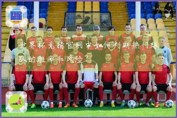 世界杯竞猜官网中如何判断热门球队的胜率和风险？