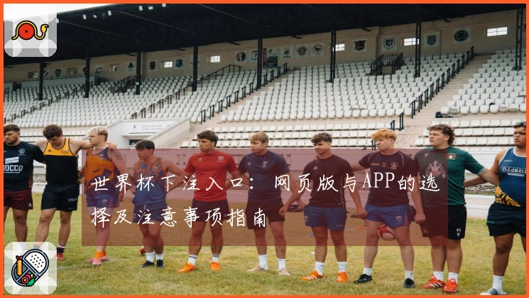 世界杯下注入口：网页版与APP的选择及注意事项指南
