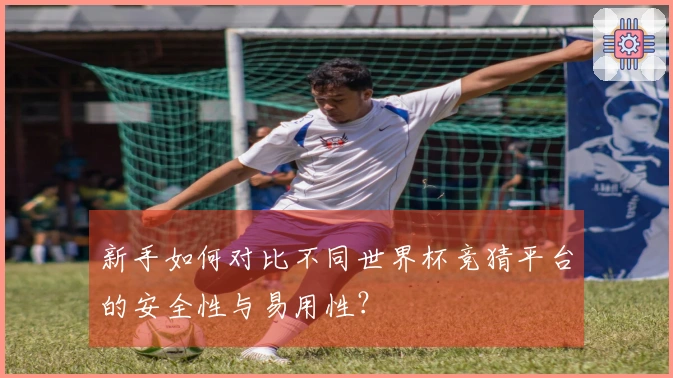 新手如何对比不同世界杯竞猜平台的安全性与易用性？