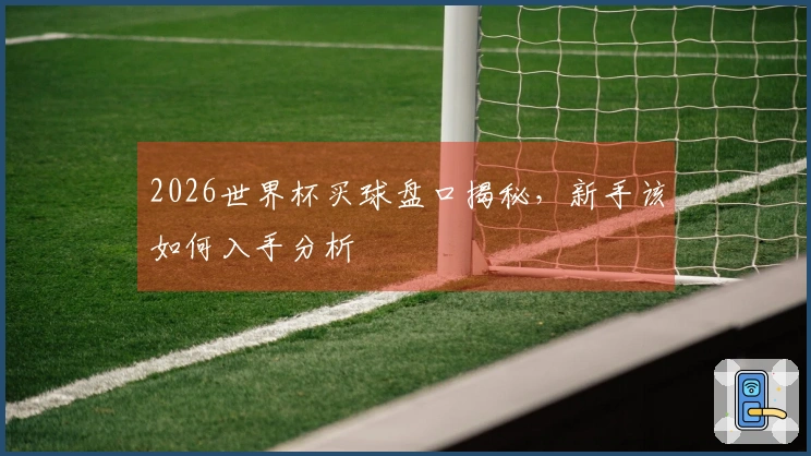 2026世界杯买球盘口揭秘，新手该如何入手分析