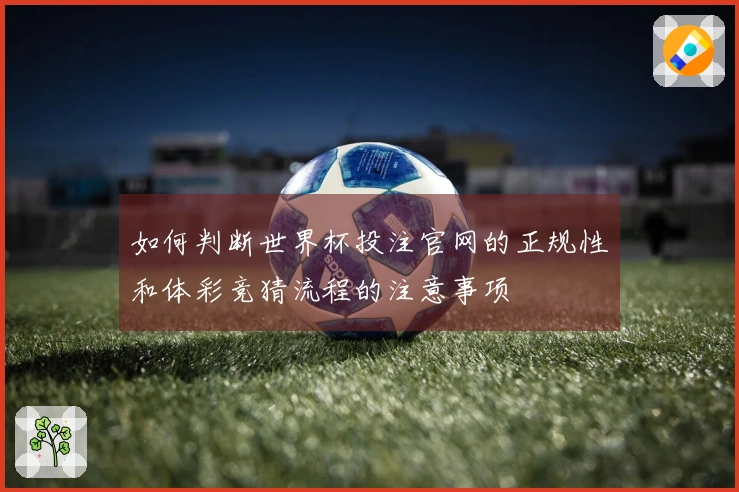 如何判断世界杯投注官网的正规性和体彩竞猜流程的注意事项
