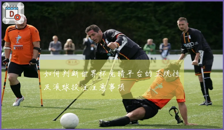 如何判断世界杯竞猜平台的正规性及滚球投注注意事项