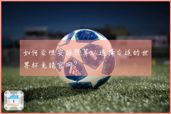 如何合理安排预算以选择合适的世界杯竞猜官网？