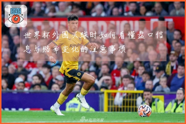 世界杯外围买球时如何看懂盘口信息与赔率变化的注意事项