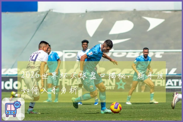 2026世界杯买球盘口揭秘，新手该如何入手分析
