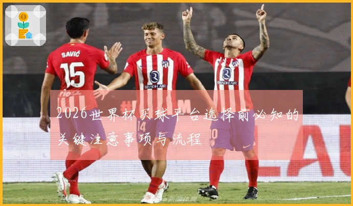 2026世界杯买球平台选择前必知的关键注意事项与流程